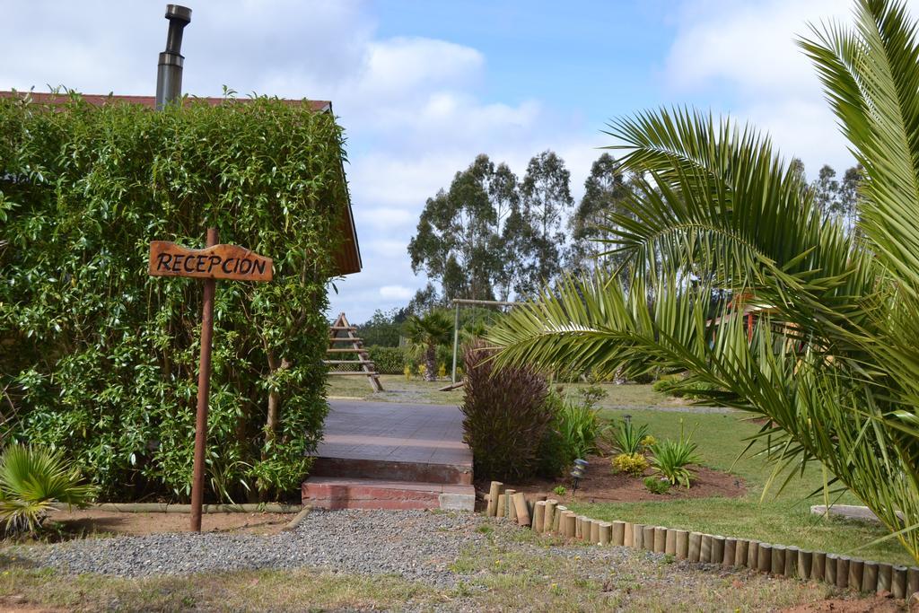 Cabanas Boutique Il Bosco Algarrobo Rum bild